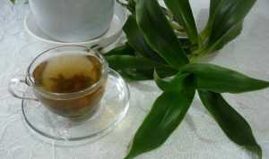 Napar ze złotego wąsa