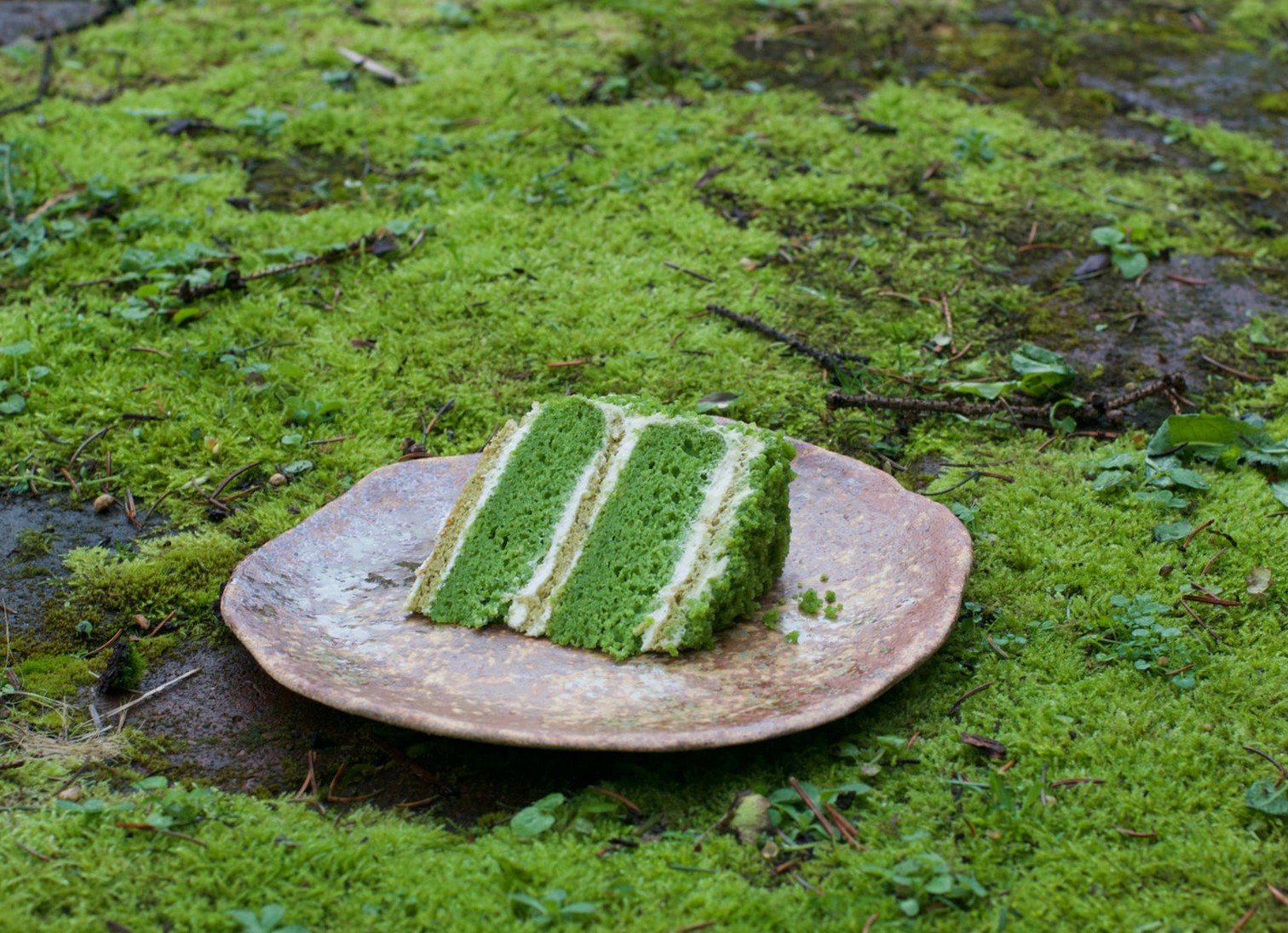 Nettle cake2